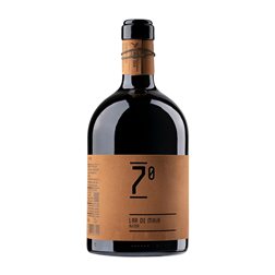 Lar de Maía 7º Tempranillo Seco Vino de la Tierra de Castilla y León Vino de Autor Botella Magnum 1,5 L Vegano Vino Tinto