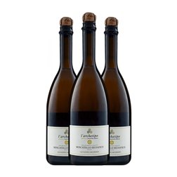 L'Archetipo Selvatico Moscatel Salento 75 cl Espumoso Blanco (Caja de 3 unidades)