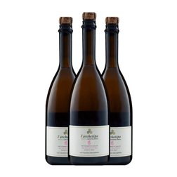L'Archetipo Susumante Susumaniello Brut Salento 75 cl Espumoso Rosado (Caja de 3 unidades)