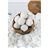 Organic Coconut Milk Powder | Prepare Curries, Coffees, and Desserts Instantly | Sweet and Creamy Flavor | Samskara-izquierda