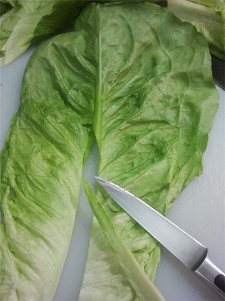 La traducción de "LECHUGA CORTADA" al francés es "LAITUE COUPÉE".-lateral