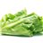 Lechuga española-detalle
