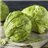 Lechuga Iceberg-detalle