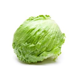 Lechuga iceberg ECO - unidad