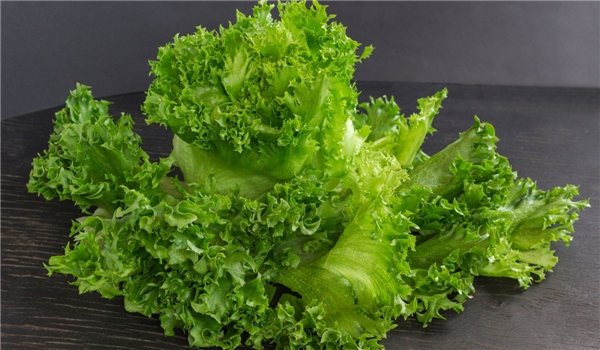 Lechuga Rizada de Galicia muy tierna (envíos solamente en Comunidad de Madrid)-detalle