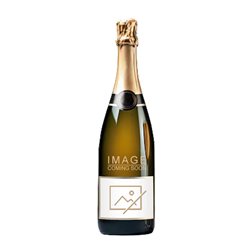 Legras Saint Vincent Champagne Cuvée Botella Magnum 1,5 L Espumoso Blanco