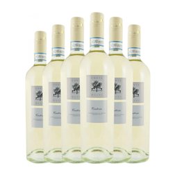 Lenotti Corte Olivi Bianco di Custoza 75 cl Vino Blanco (Caja de 6 unidades)