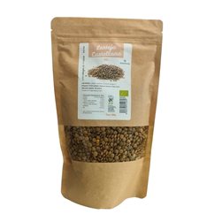 Lentilles castillanes Bio 500g Dream Foods