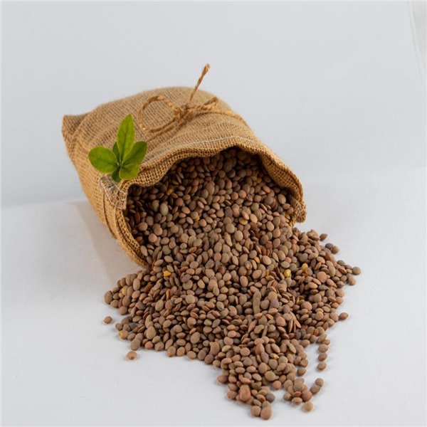 Lentille castillane nationale - Emballée par Yubero Gourmet 1 kg-detalle