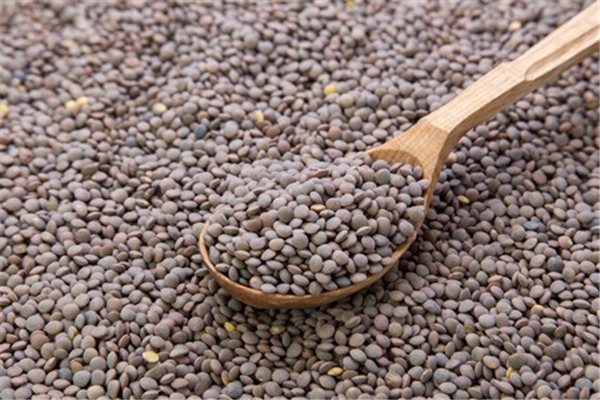 Pardina Lentils 1 kg bag-detalle