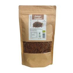 Lentilles pardina Bio 500g Dream Foods