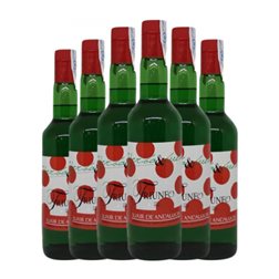 Licores Triunfo Yerbabuena 70 cl Hierbabuena (Caja de 6 unidades)