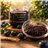 LIEBANARTESANA - Confiture de Myrtilles de Cantabrie 280 g | Élaboration Artisanale et Naturelle | Produit Cantabrie | Pack 2 Unités-lateral