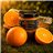 LIEBANARTESANA - Confiture d'Orange au Marc 280 g | Élaboration Artisanale et Naturelle | Produit Cantabrie | Pack 2 Unités-detalle