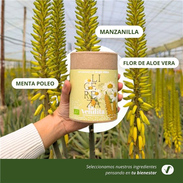 Ligereza infusión con aloe vera puro ecológico-trasera