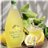 Limoncino Bottega 50 cl-detalle