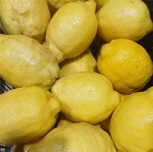 Lemons-izquierda