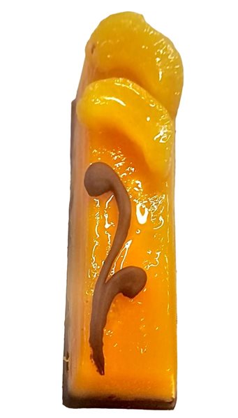 LINGOTE VEGANO, DE MANGO Y MELOCOTÓN APTO ALÉRGICOS-detalle