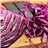 Rotkohl, ganz-detalle