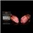 100% Acorn-fed Iberian Loin in Wooden Box-detalle