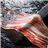 100% Bellota Iberian Ham Slices, Maldonado, Premium Edition-trasera