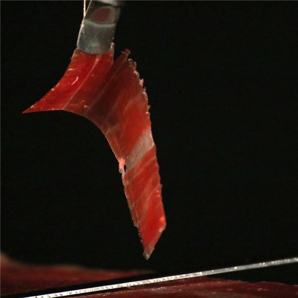 Loncheado de JAMÓN PALETA 100% IBÉRICA de Bellota de 0.5 kg de peso en 5 sobres de 100gramos-detalle