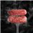 Longaniza Naturuel-detalle