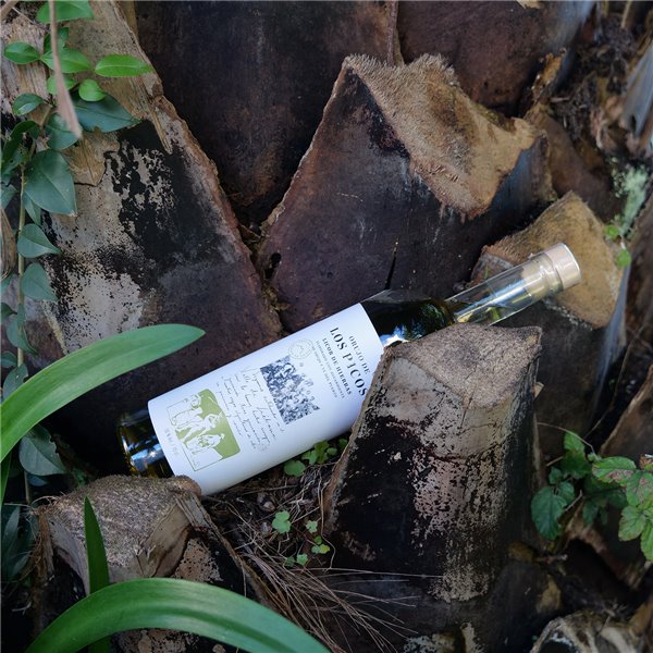 LES POINTES Liqueur aux herbes - Liqueur artisanale au thé du port, 30% vol., 70 cl - Saveur naturelle et rafraîchissante de Cantabrie-lateral