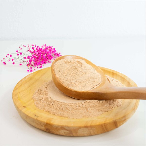 Poudre de lucuma biologique 100% naturelle-izquierda