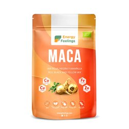 Organic Maca Powder