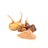 Maca en Polvo BIO - 250g-lateral