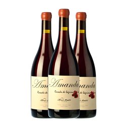 Maestro Tejero Amanda Garnacha Vino de la Tierra de Castilla y León 75 cl Vino Rosado (Caja de 3 unidades)