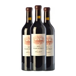 Maestro Tejero Valdecastrillo Tempranillo Vino de la Tierra de Castilla y León 75 cl Vino Tinto (Caja de 3 unidades)