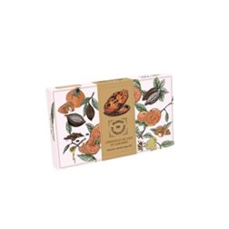MAISON FLORENTINS DE CHOC LECHE CARAMELO 100 GR