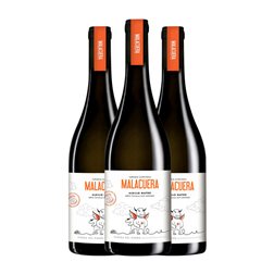 Malacuera Albillo Seco Ribera del Duero 75 cl Vino Blanco (Caja de 3 unidades)
