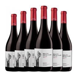 Malón de Echaide Entrega Garnacha Seco Navarra Roble 75 cl Vino Tinto (Caja de 6 unidades)