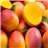 Mangue-detalle