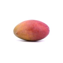 Mango Osteen ECO - 1 unit