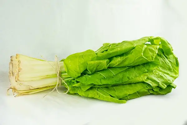 MANOJO DE ACELGAS