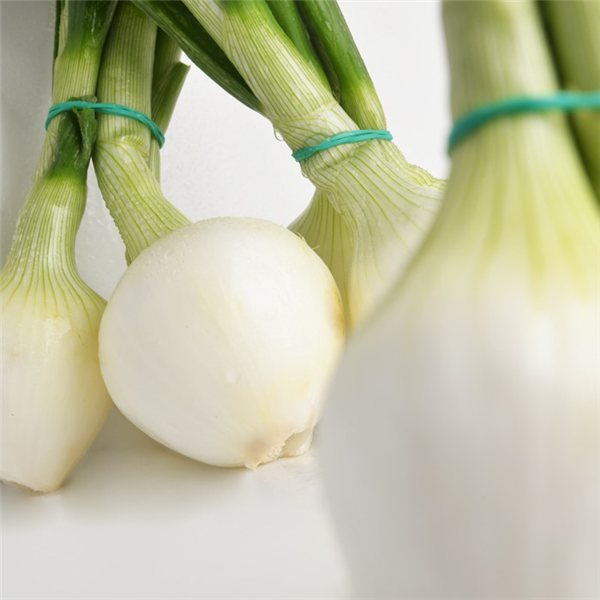 Manojo de Cebolleta Dulce-detalle