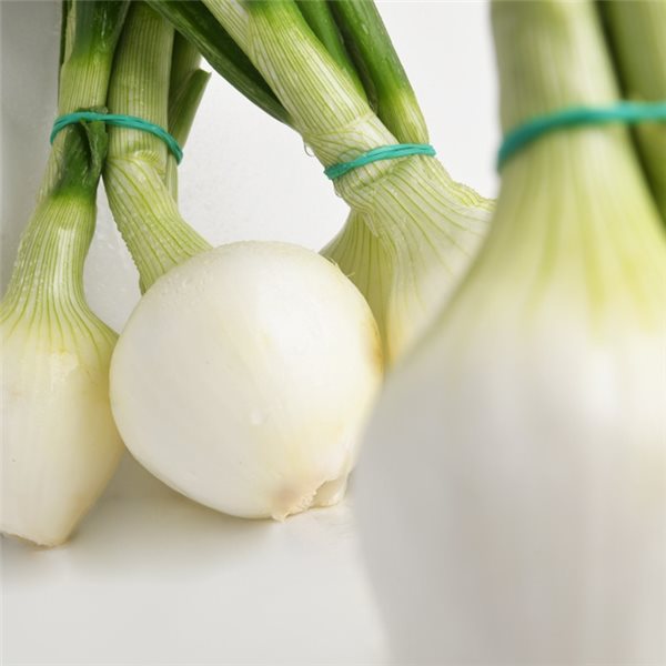 Bunch of Sweet Chives-detalle