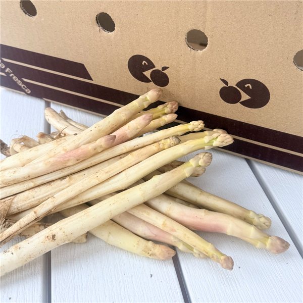 Espárragos blancos frescos de Navarra-lateral