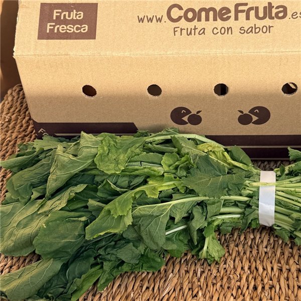 Manojo de Grelos-lateral