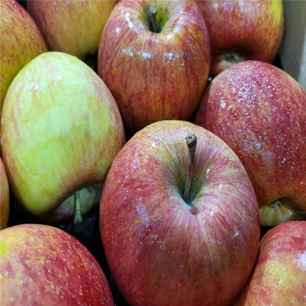 Fuji apple-detalle