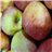 Fuji apple-trasera