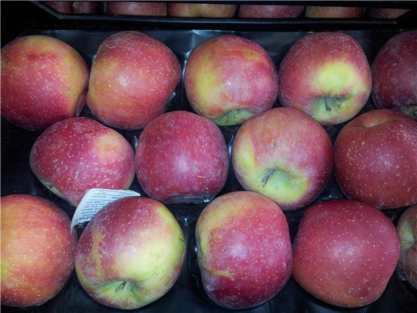 MANZANA  FUJI-lateral