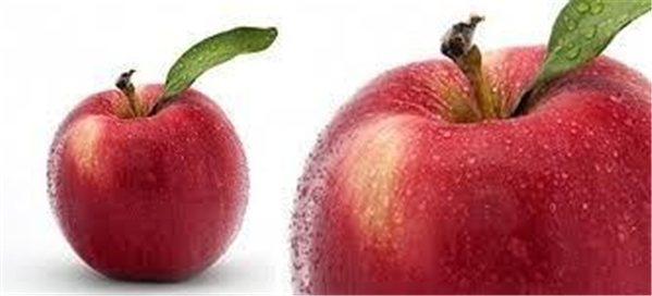 APFEL MARLENE-detalle