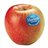 APFEL MARLENE