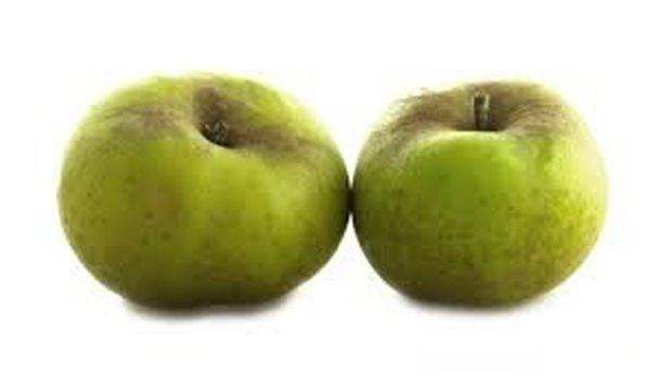 POMME VERTE DONCELLA-lateral