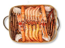 Mariscada Origen XL 1.4 kg | Premium Seafood from Huelva